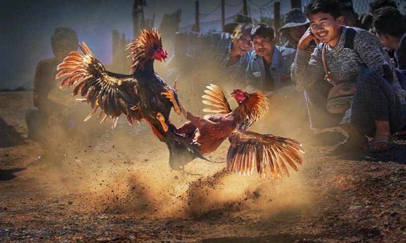 Thời gian quy định thông thường ở mỗi hiệp là 15 phút